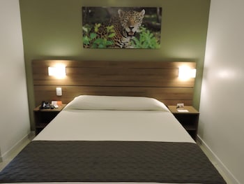 bristol umarizal belem