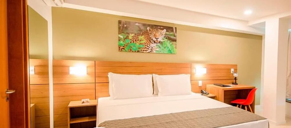 bristol umarizal belem