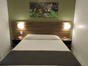 bristol umarizal belem