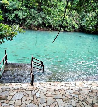 jardim