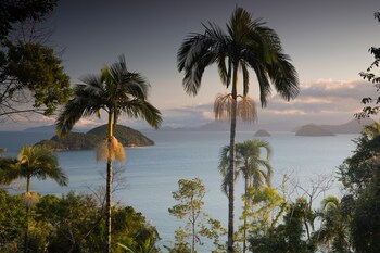 banana bamboo ecolodge