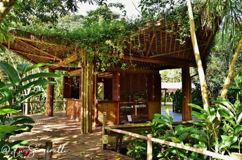 banana bamboo ecolodge