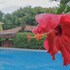 tibau do sul