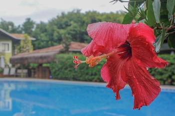 tibau do sul