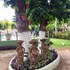 pousada das bromelias
