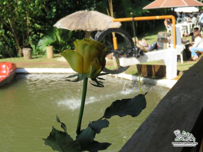 santo antonio do pinhal
