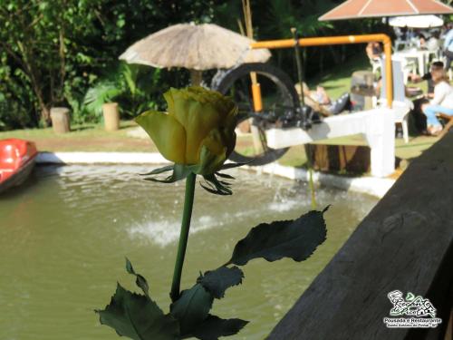 santo antonio do pinhal