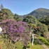 pousada sitio sossego
