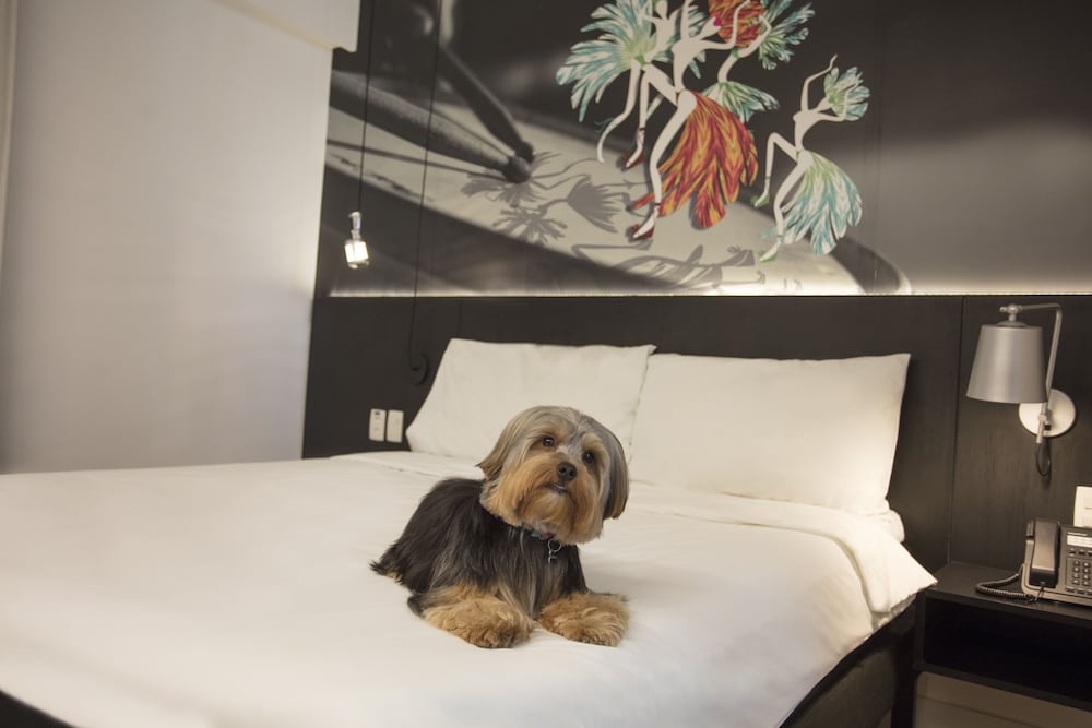 ibis styles taubate