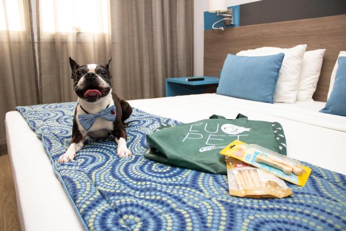 hilton garden inn santo andre