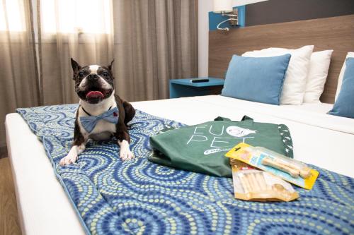 hilton garden inn santo andre