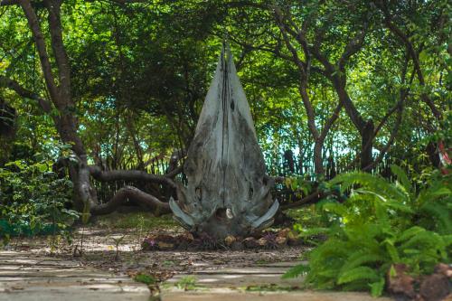 santo amaro do maranhao