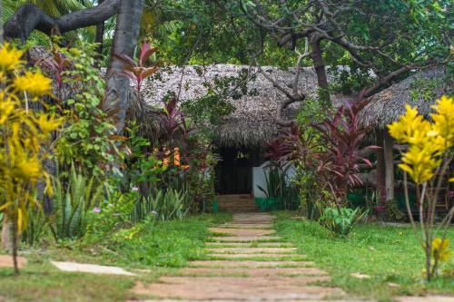 santo amaro do maranhao