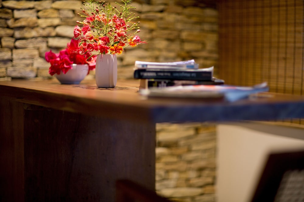 villa alegria la villa group