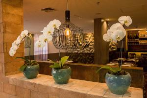 bristol vicosa hotel