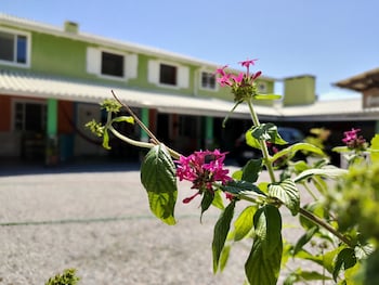 bombinhas
