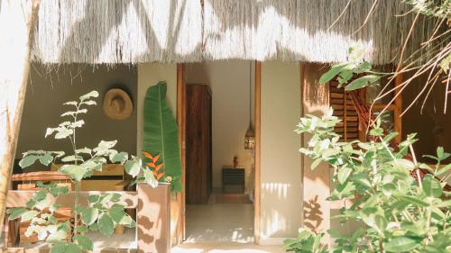 na villa dos algodoes