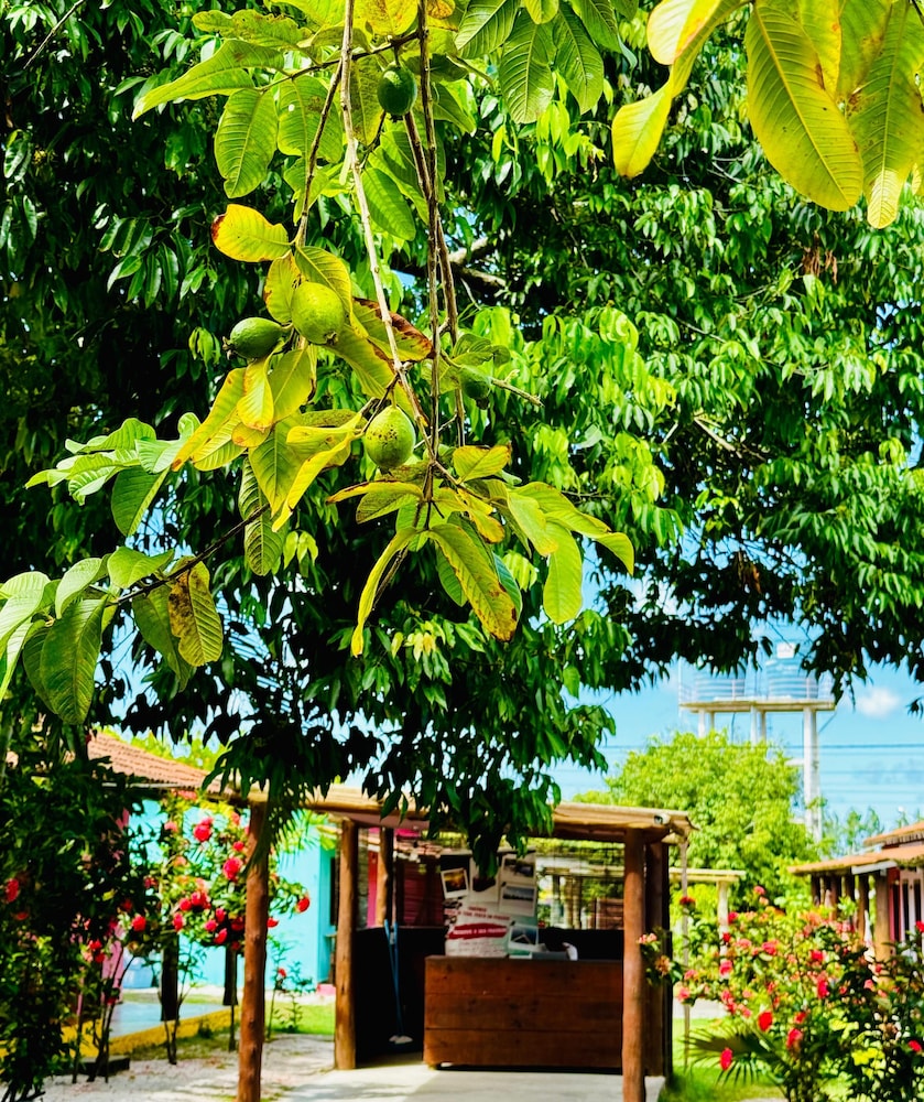 porto seguro
