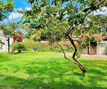 porto seguro