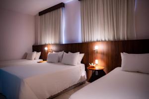 hotel santos dumont
