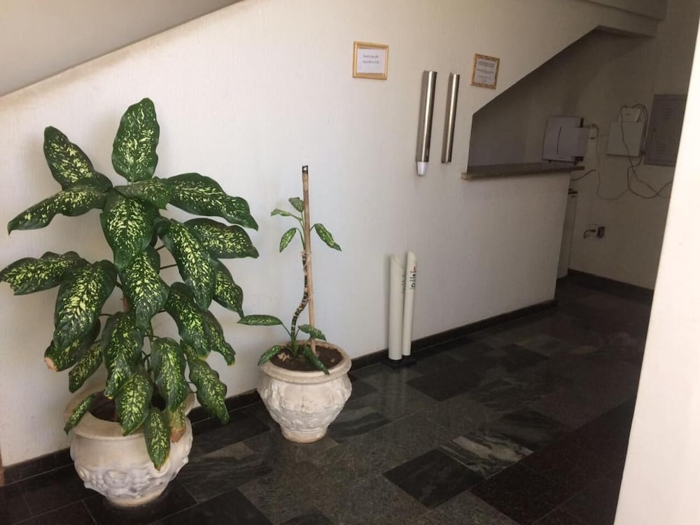 roda viva park hotel