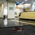 hotel minas tower