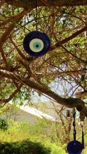 alto paraiso de goias