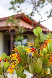 alto paraiso de goias