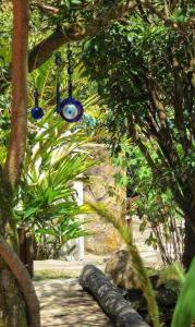 alto paraiso de goias