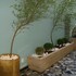 domus hotel
