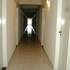 domus hotel