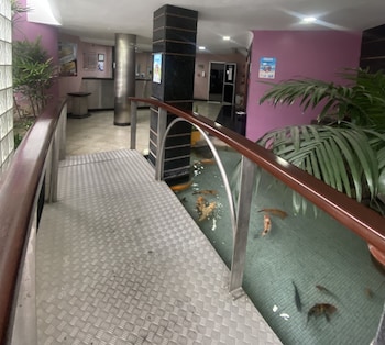 hotel novo plano