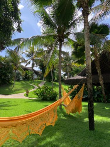 tibau do sul