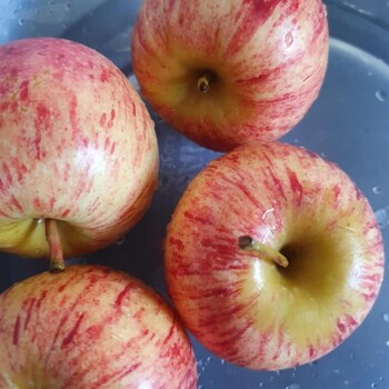 paraiso do tocantins