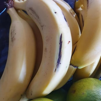 paraiso do tocantins