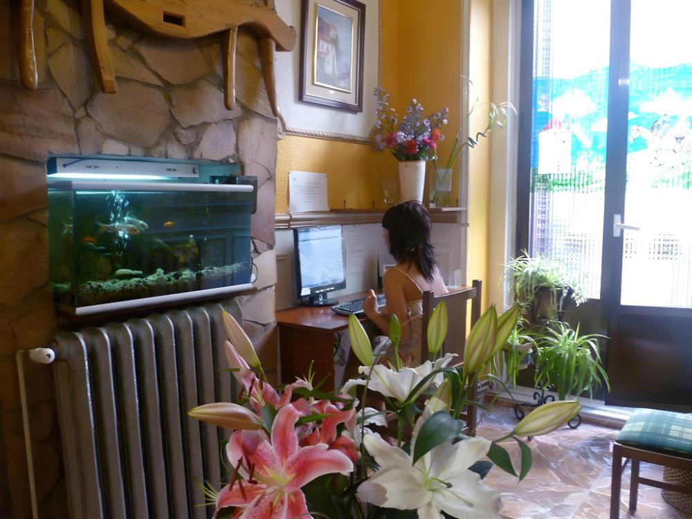 hostal comercial
