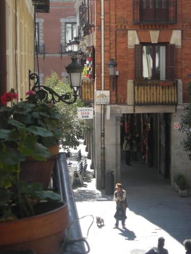 hostal comercial