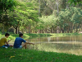 sao sebastiao do paraiso