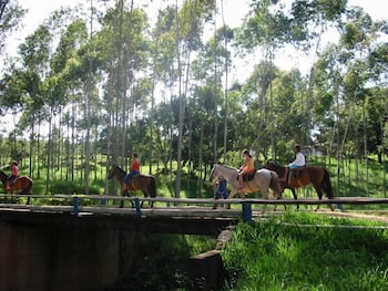 sao sebastiao do paraiso