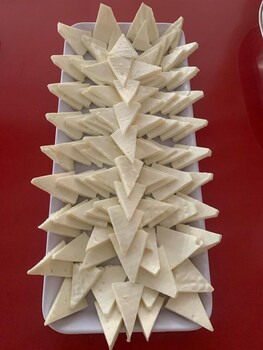 hotel alvorada palace