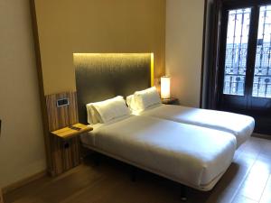 bandb hotel madrid centro plaza mayor