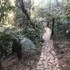 hotel boutique quebra noz conforto e natureza