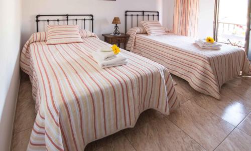 hostal alba taruta