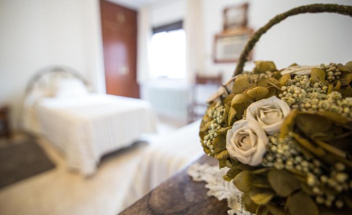 hostal alba taruta