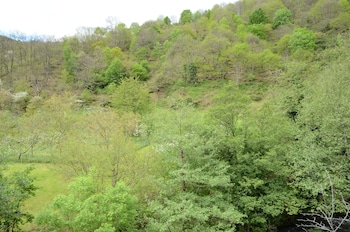 El Rincón De Limes,Cangas Del Narcea>>Asturias,4 star