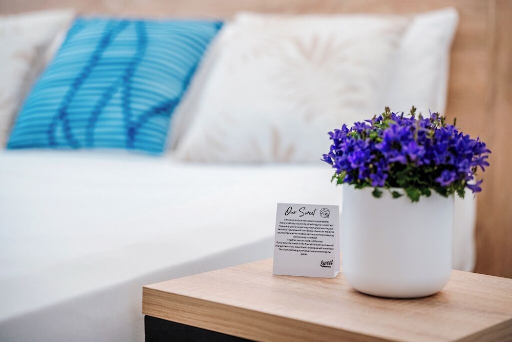 sweet lloret suites