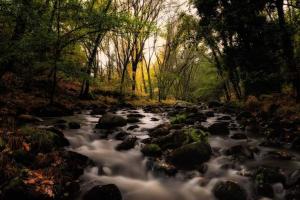hostel el lago caceres