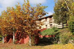 hostel el lago caceres
