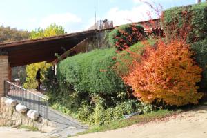 hostel el lago caceres