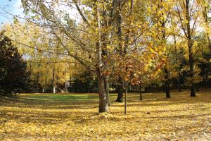 hostel el lago caceres